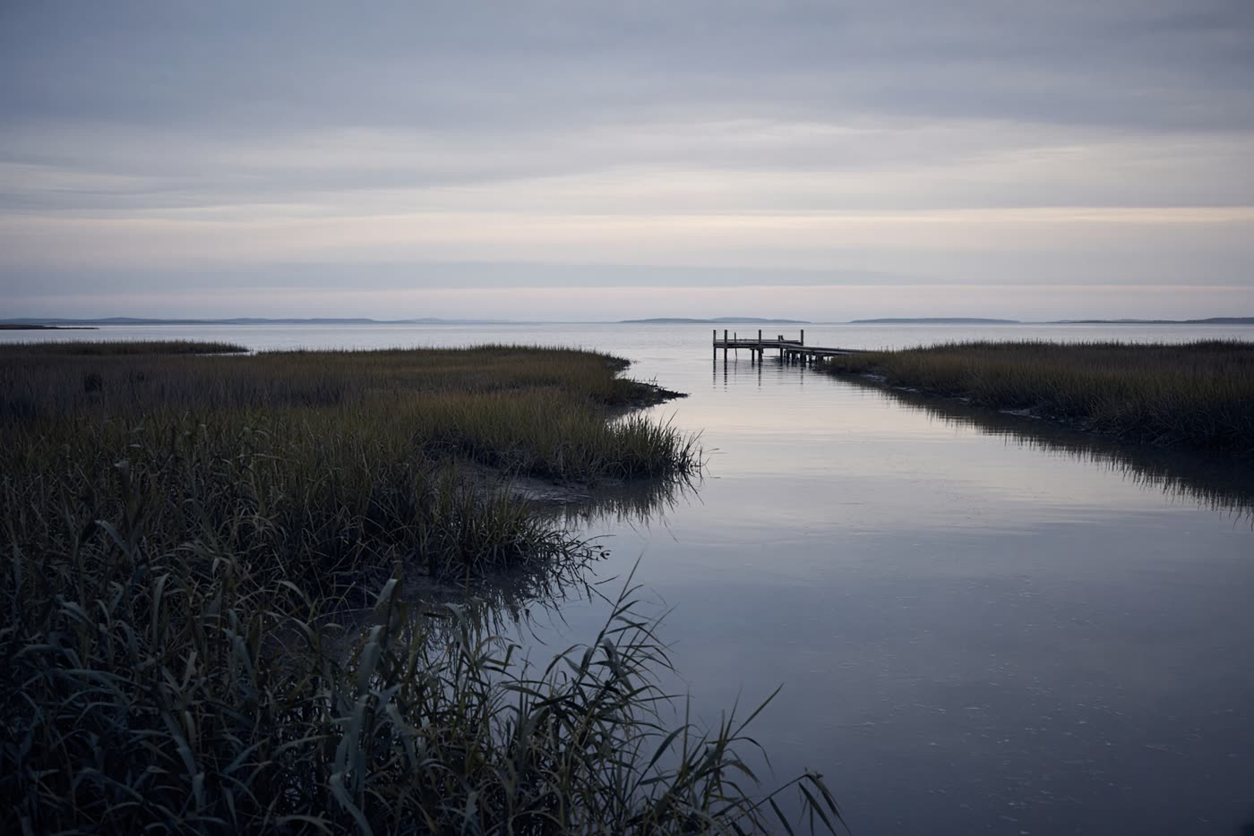 Marsh and still water along the creek, with a distant pier